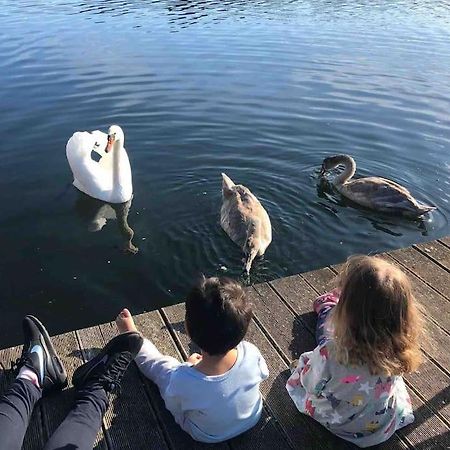 Haus Wilma Gruene Idylle Im Wald Direkt Am See Wendisch Rietz Bagian luar foto