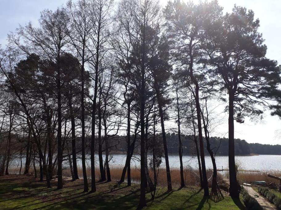 Haus Wilma Gruene Idylle Im Wald Direkt Am See Wendisch Rietz Bagian luar foto