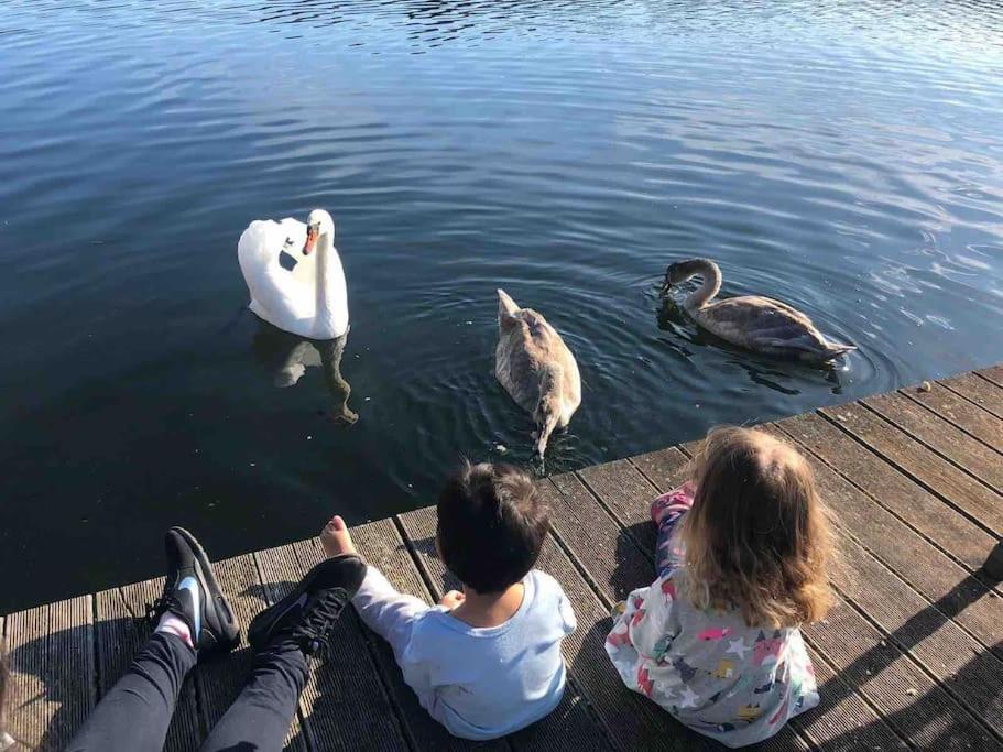 Haus Wilma Gruene Idylle Im Wald Direkt Am See Wendisch Rietz Bagian luar foto