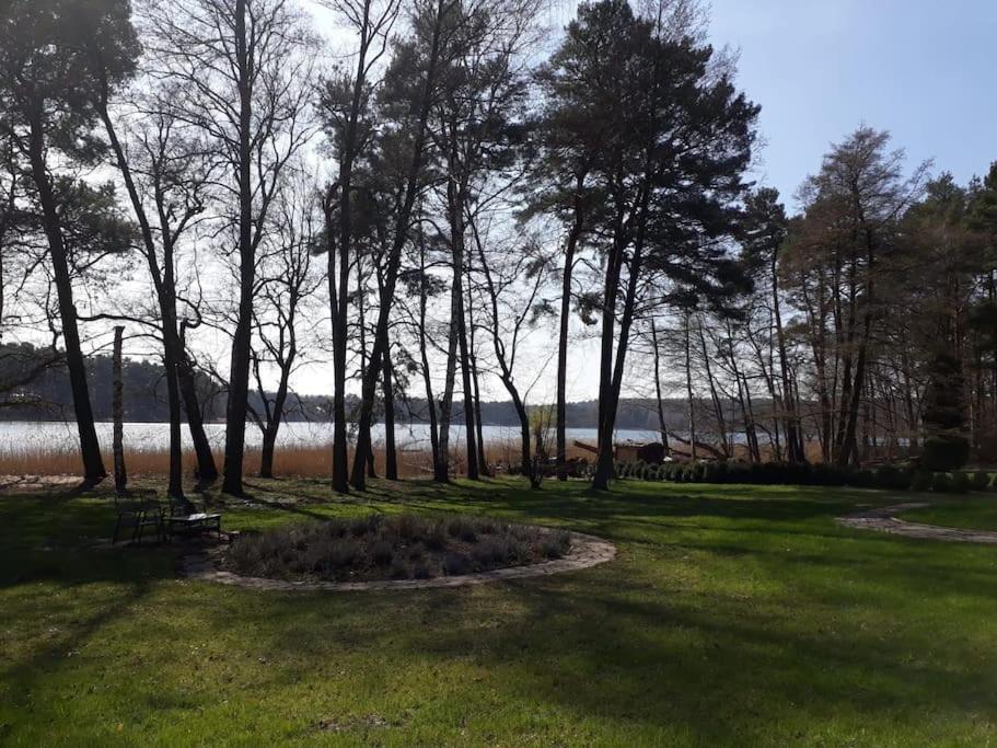 Haus Wilma Gruene Idylle Im Wald Direkt Am See Wendisch Rietz Bagian luar foto