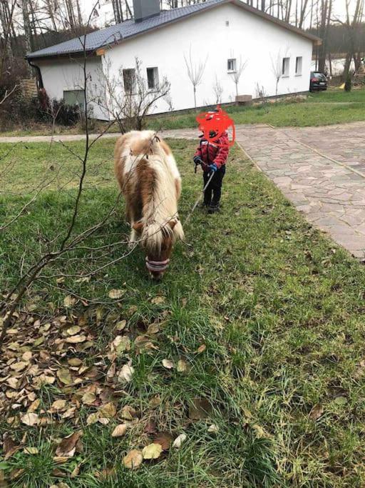 Haus Wilma Gruene Idylle Im Wald Direkt Am See Wendisch Rietz Bagian luar foto